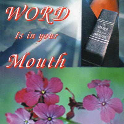 Spiritual book cover featuring flowers and light